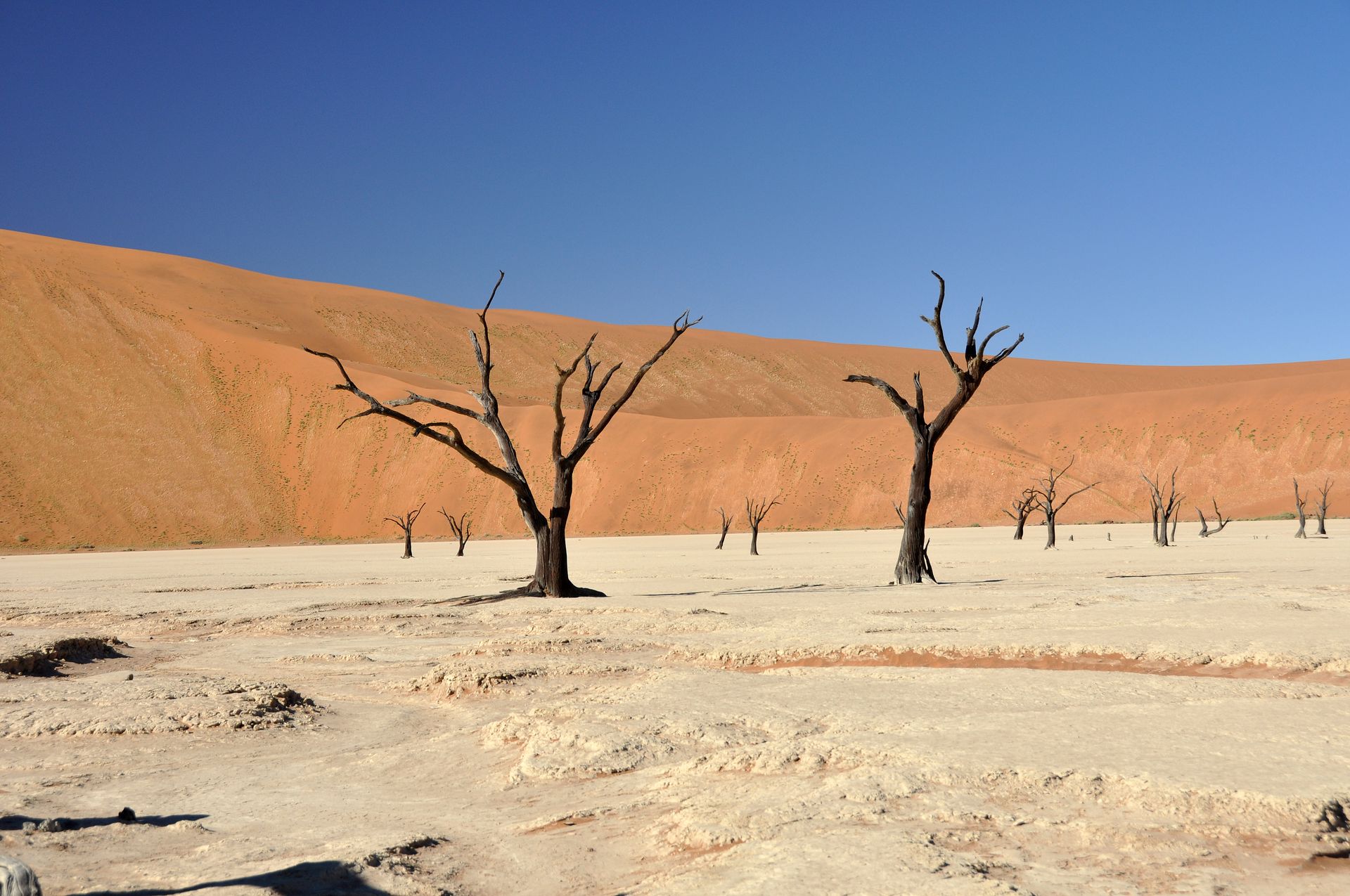 Namibie - Sossusvlei 